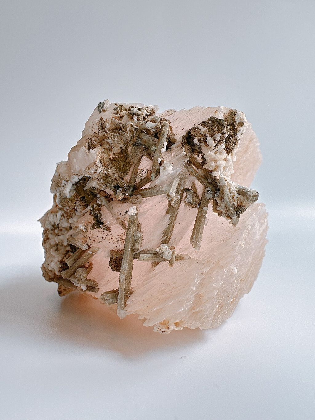 LINE_ALBUM_官網照片_230627_25