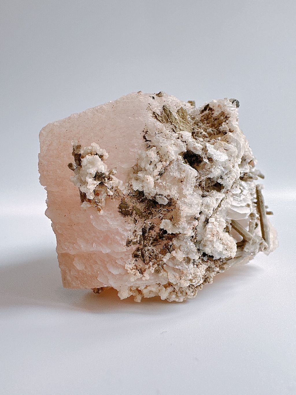 LINE_ALBUM_官網照片_230627_26