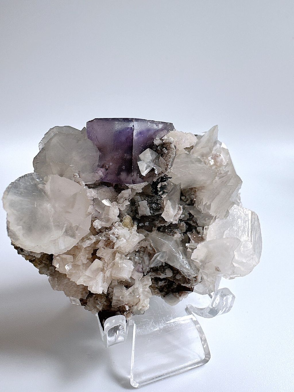 LINE_ALBUM_官網照片_230627_28