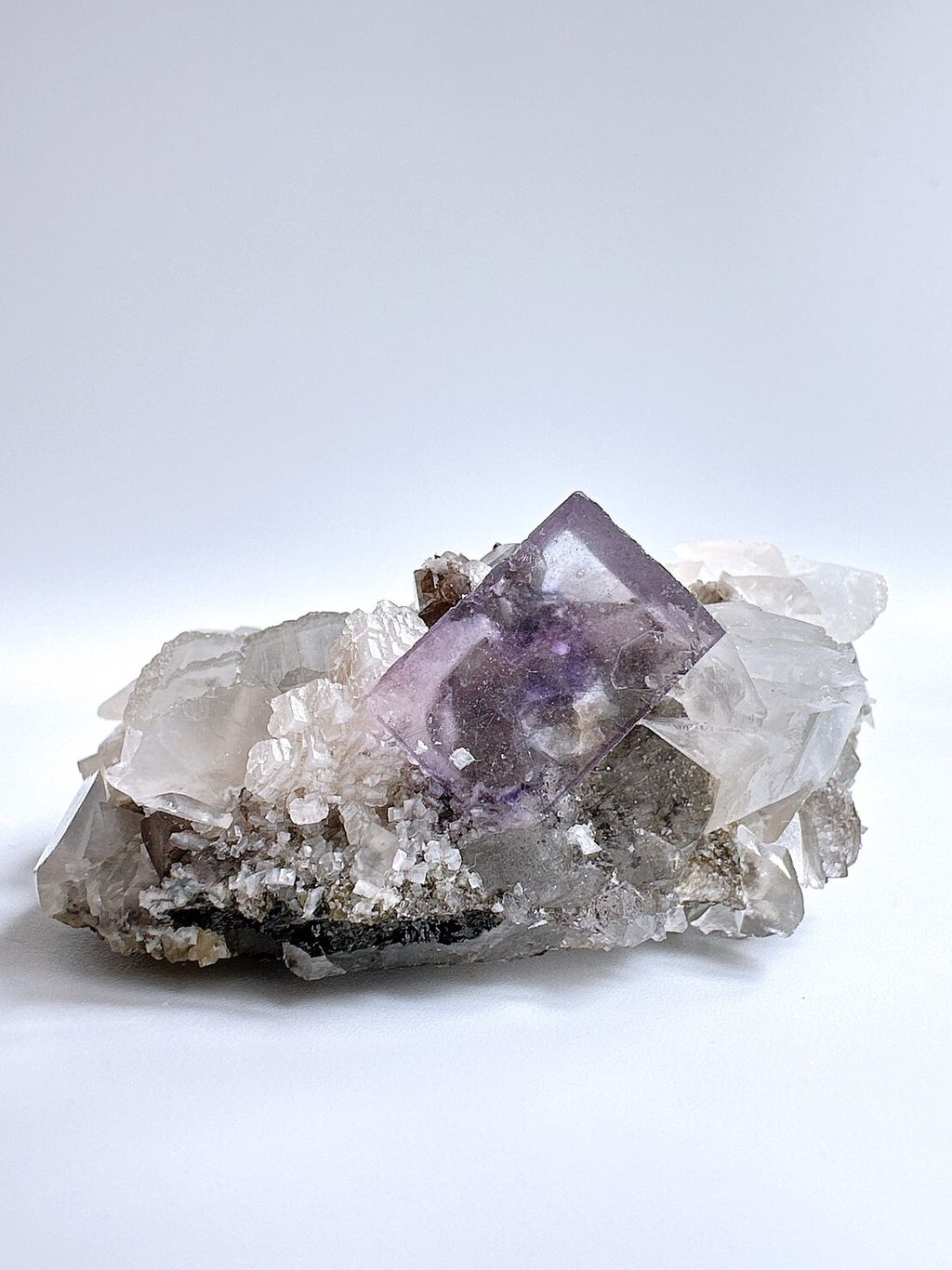 LINE_ALBUM_官網照片_230627_31