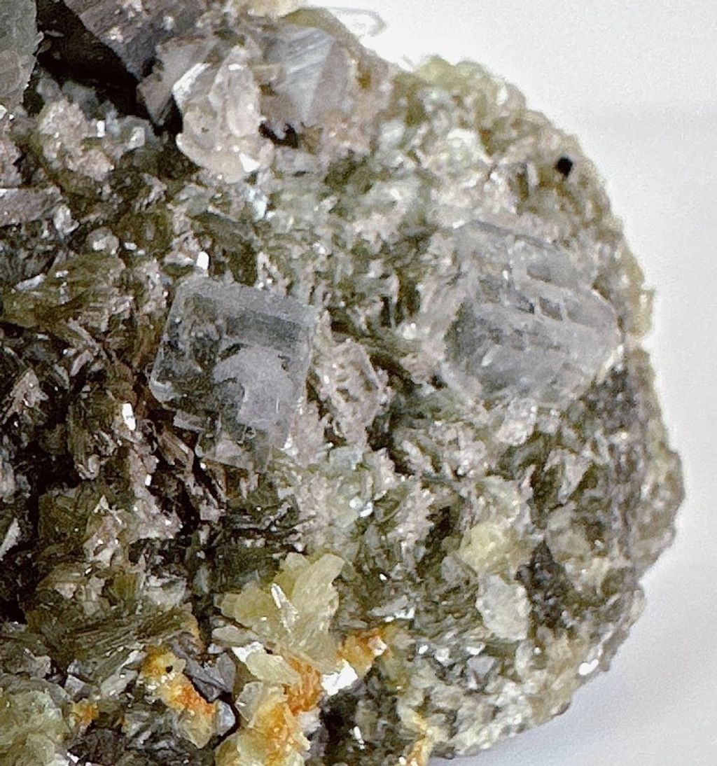 LINE_ALBUM_官網商品相簿_230719_39