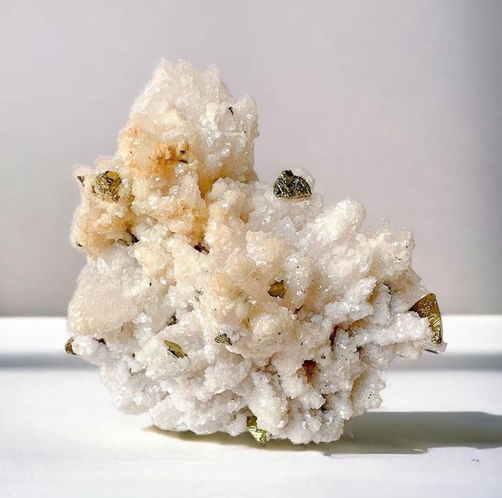 LINE_ALBUM_官網商品相簿7月第5周_230724_57