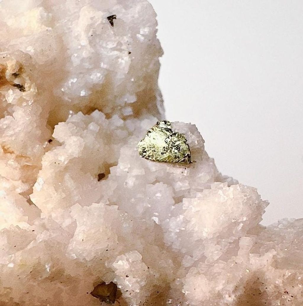 LINE_ALBUM_官網商品相簿7月第5周_230724_55