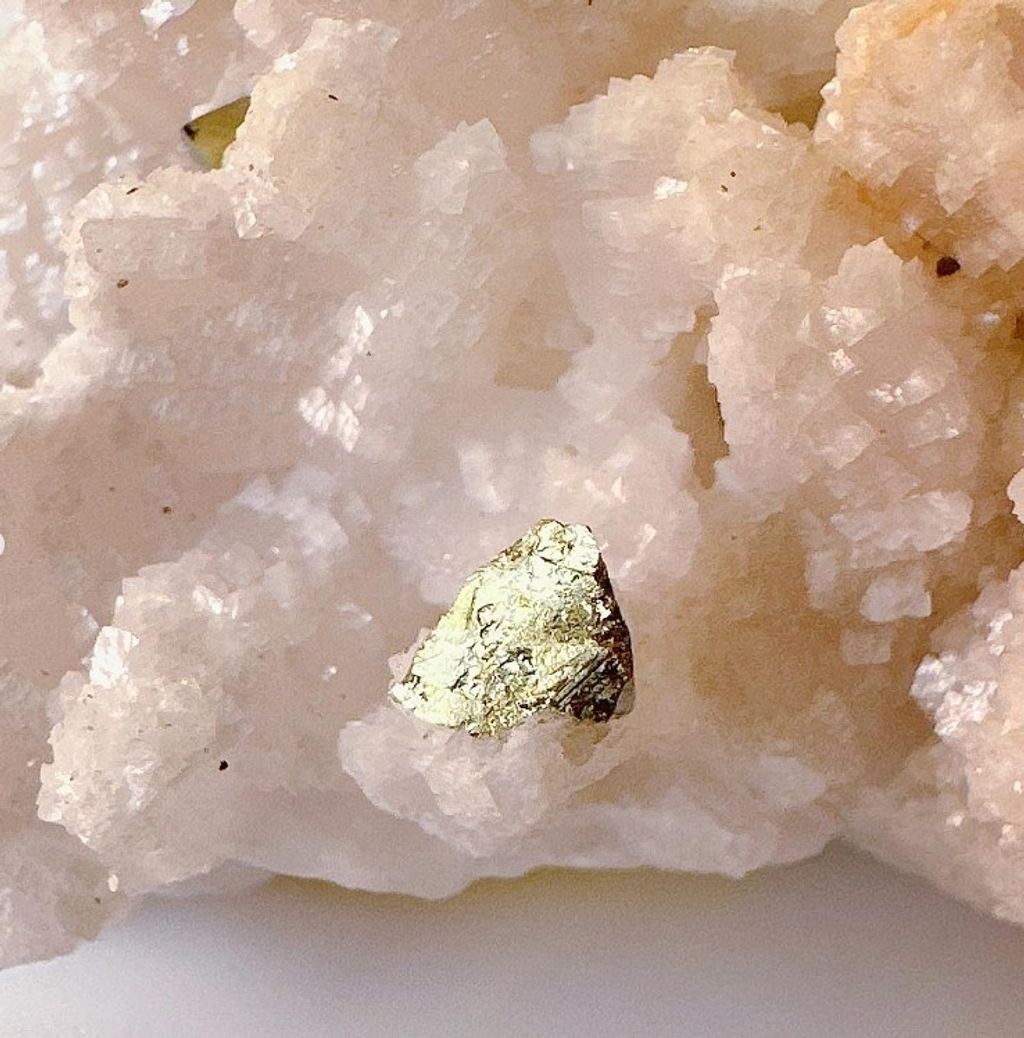 LINE_ALBUM_官網商品相簿7月第5周_230724_56