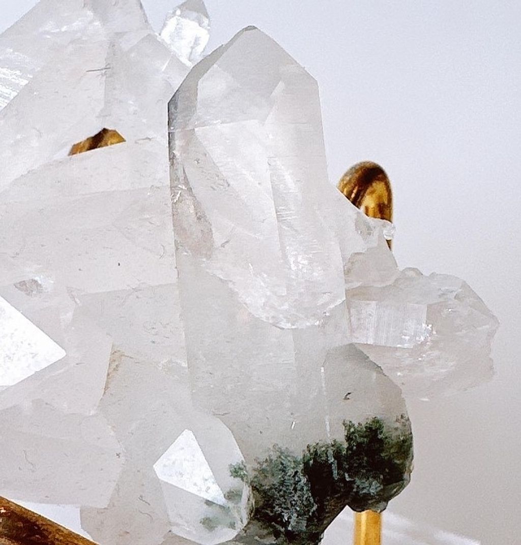 LINE_ALBUM_官網商品相簿7月第5周_230724_1