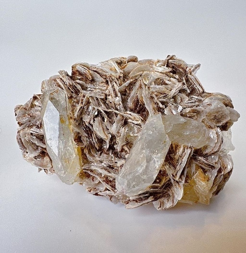 LINE_ALBUM_官網商品相簿7月第5周_230724_17