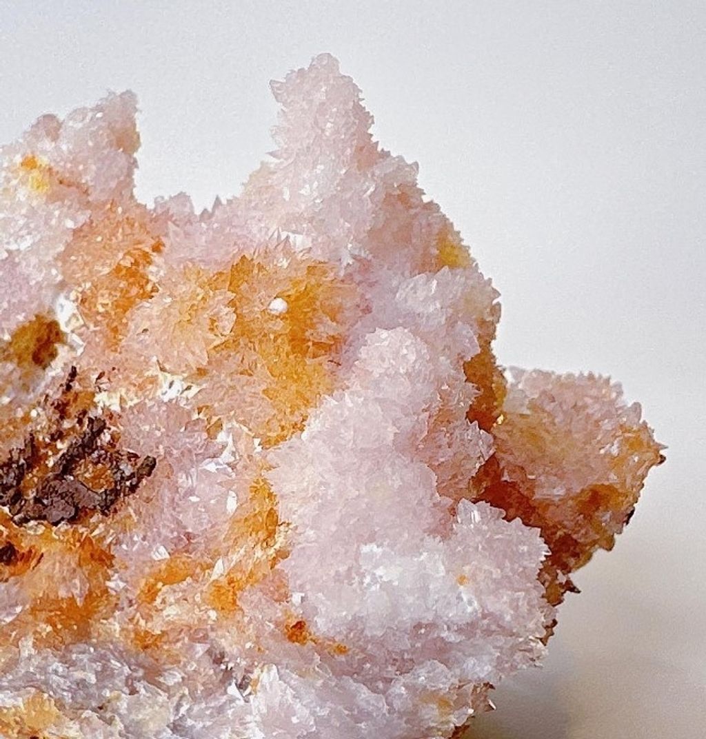 LINE_ALBUM_官網商品相簿7月第5周_230724_27