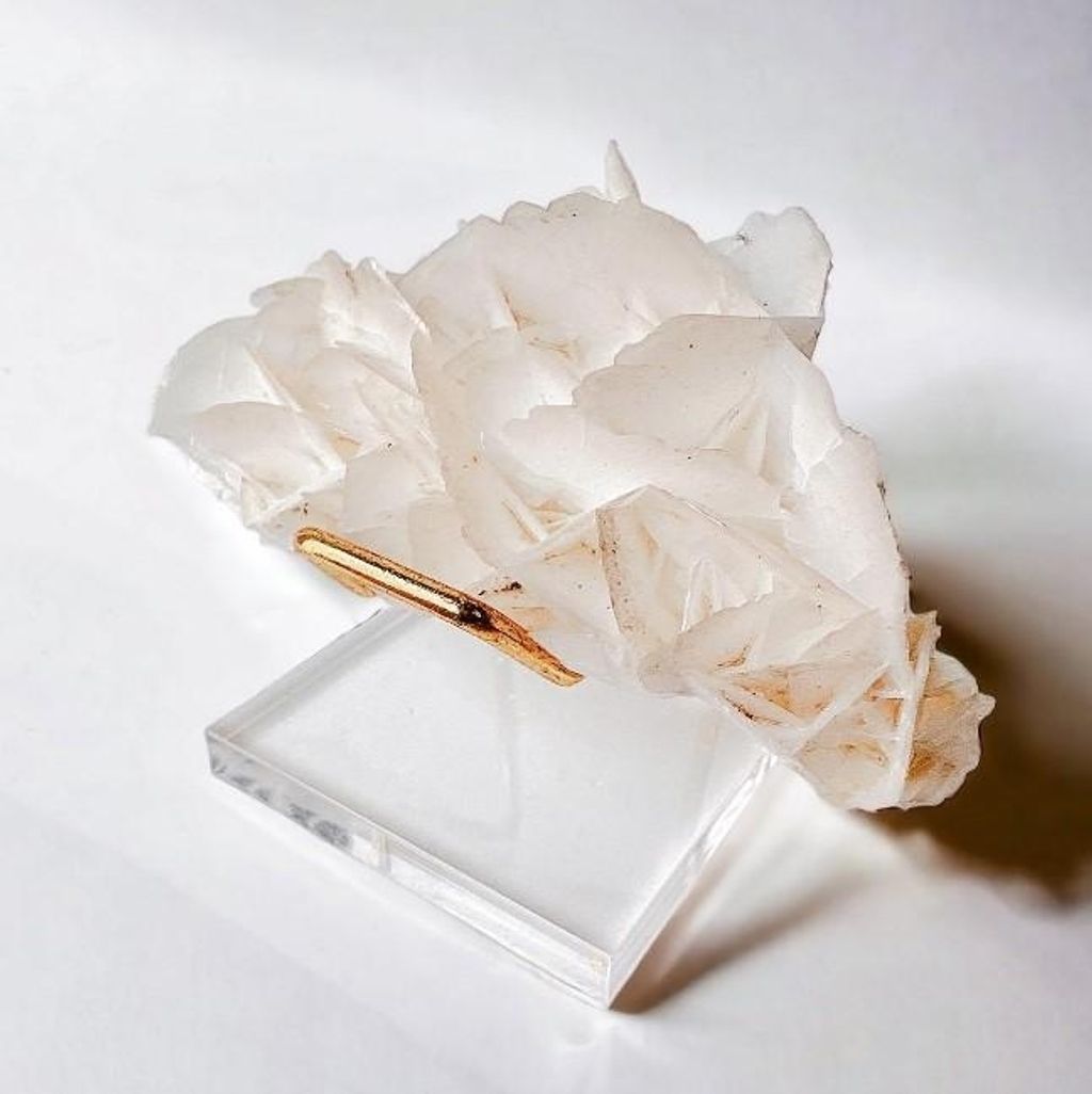 LINE_ALBUM_官網商品相簿7月第5周_230724_29