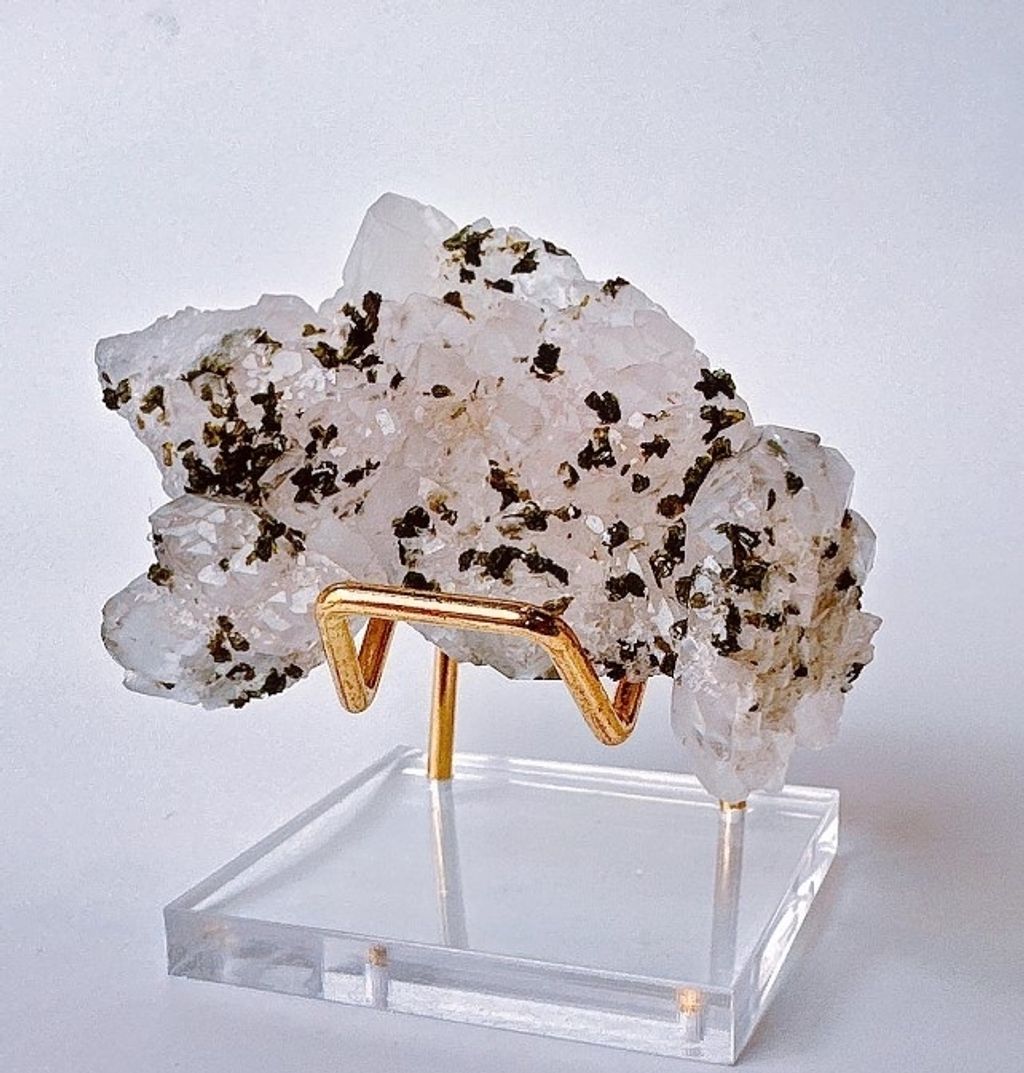 LINE_ALBUM_官網商品相簿7月第5周_230724_40