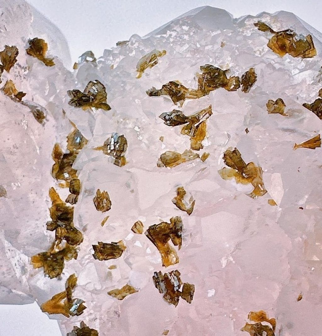 LINE_ALBUM_官網商品相簿7月第5周_230724_38