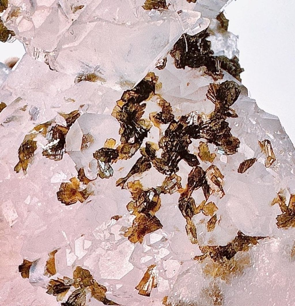 LINE_ALBUM_官網商品相簿7月第5周_230724_39