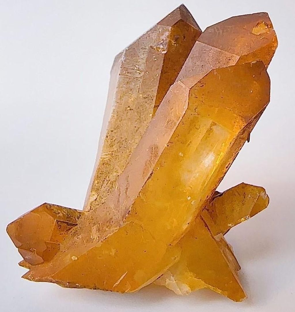 LINE_ALBUM_官網商品相簿7月第5周_230724_58