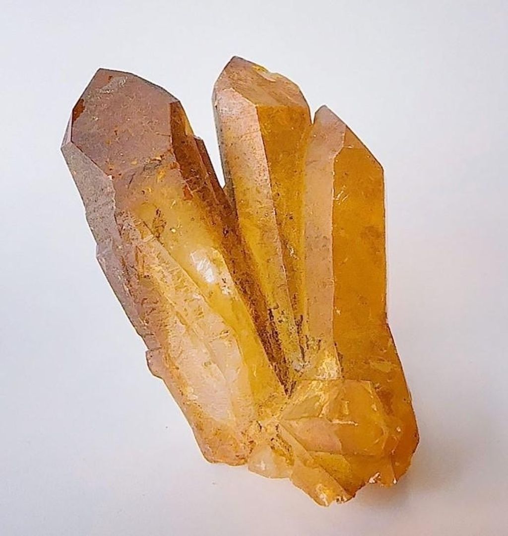 LINE_ALBUM_官網商品相簿7月第5周_230724_60