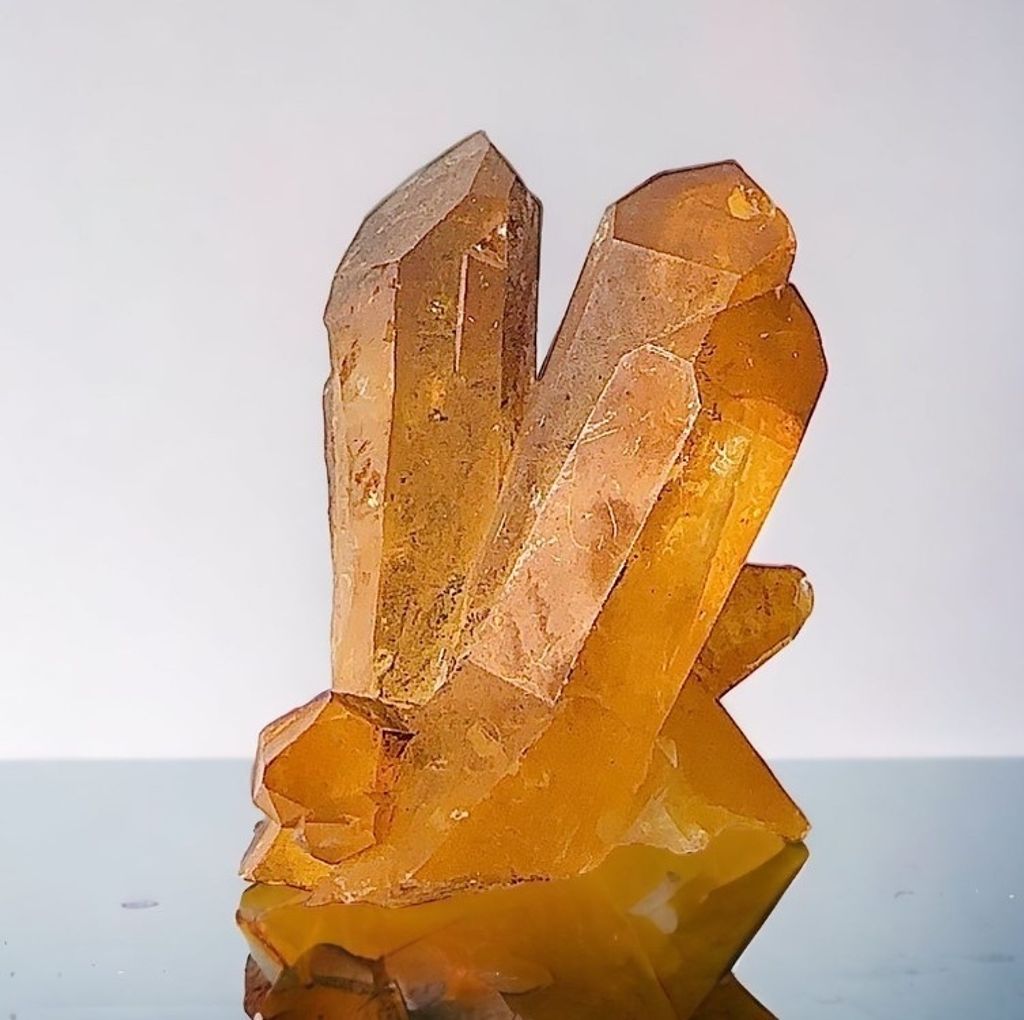 LINE_ALBUM_官網商品相簿7月第5周_230724_61