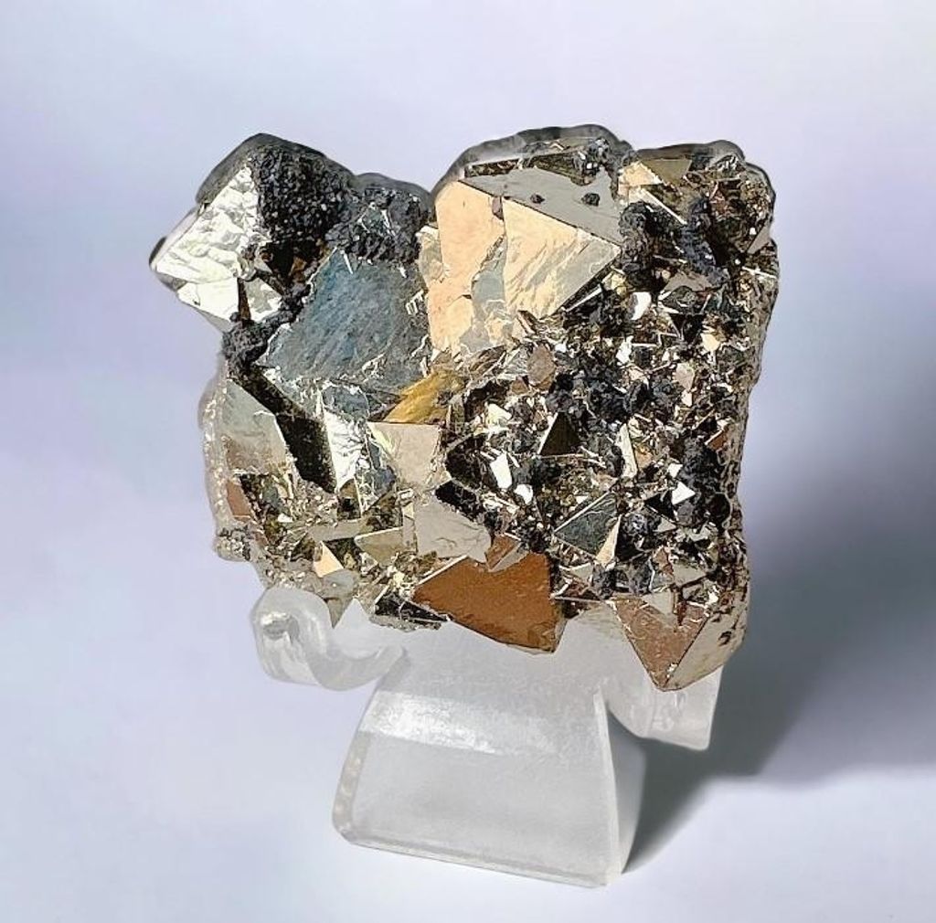 LINE_ALBUM_官網商品相簿7月第5周_230724_64