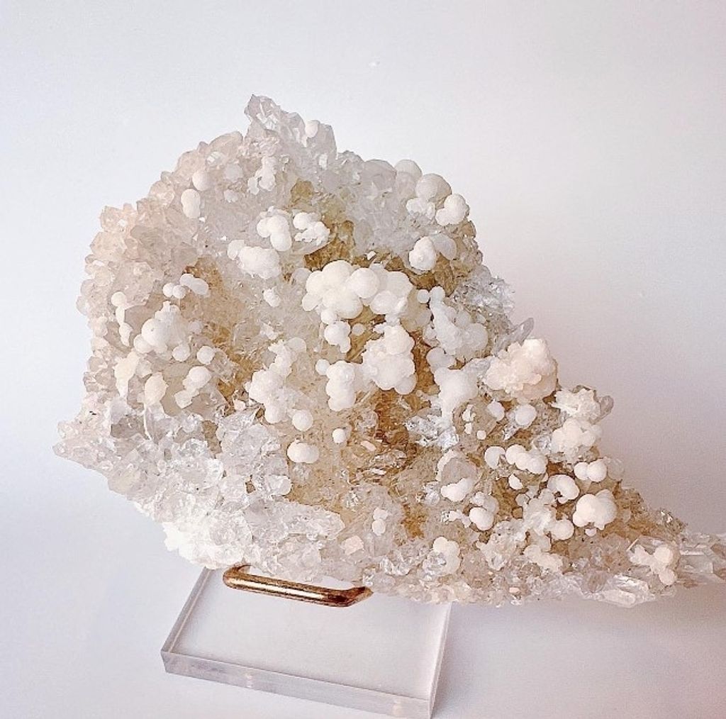 LINE_ALBUM_官網商品相簿_230724_49