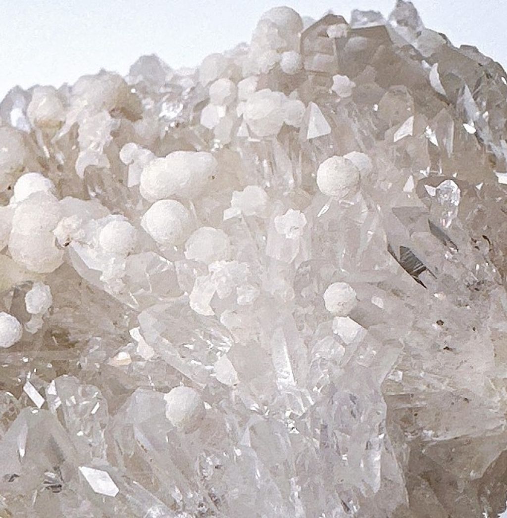 LINE_ALBUM_官網商品相簿_230724_48