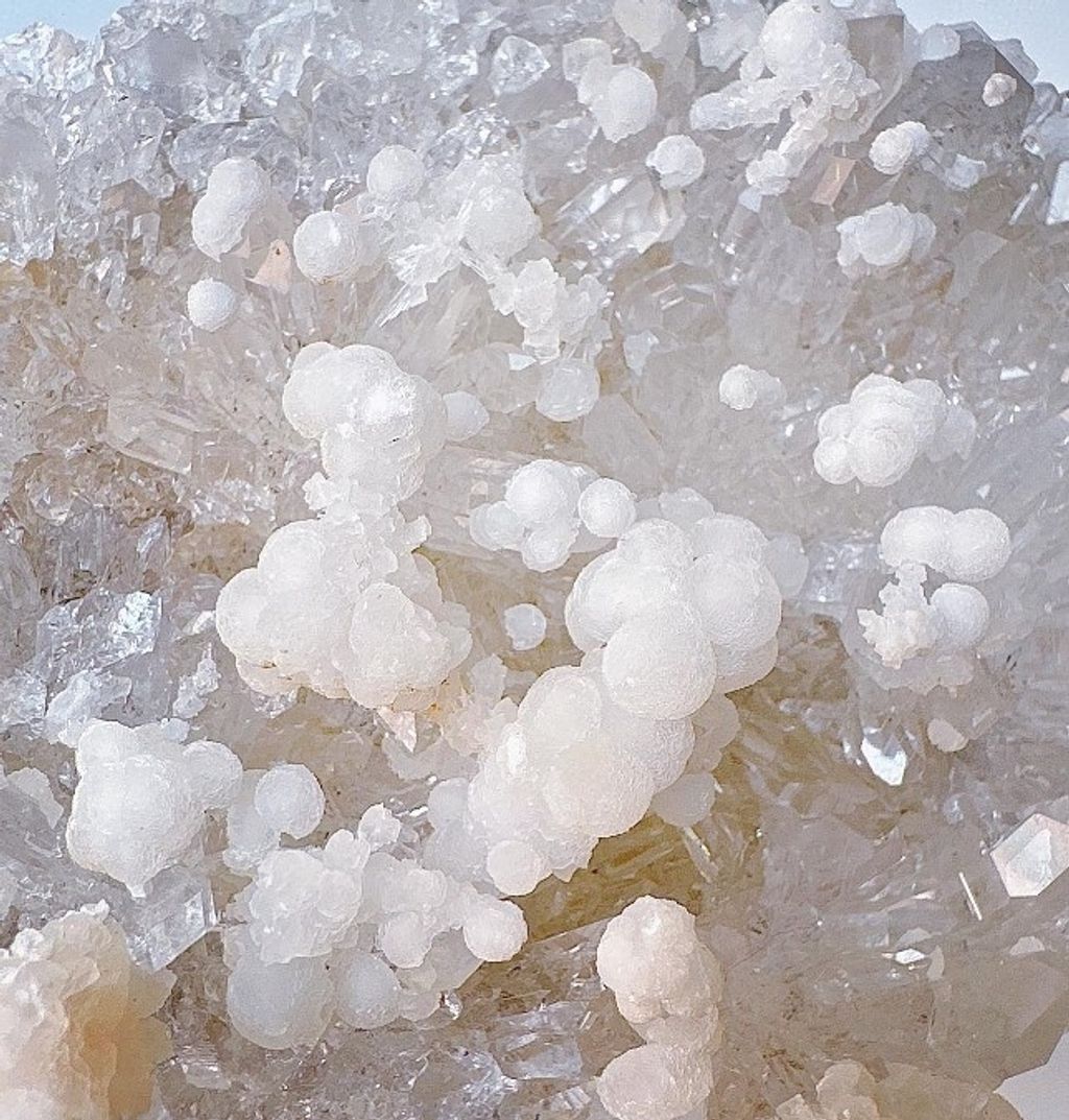 LINE_ALBUM_官網商品相簿_230724_47