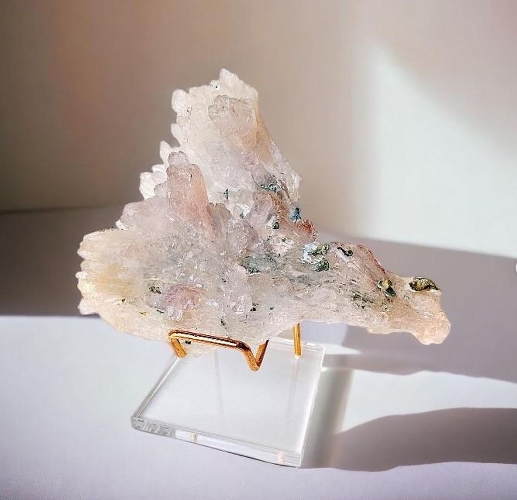 LINE_ALBUM_官網商品相簿_230724_59