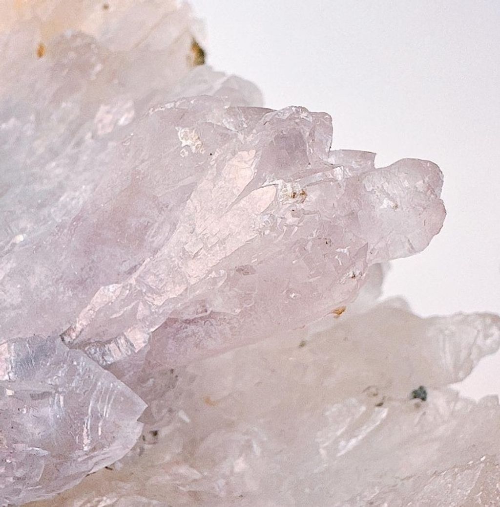 LINE_ALBUM_官網商品相簿_230724_60