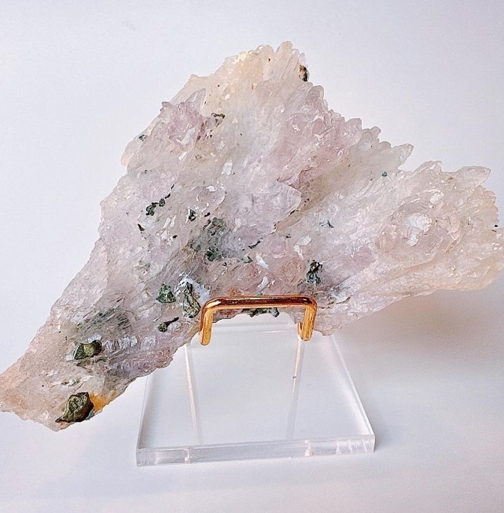 LINE_ALBUM_官網商品相簿_230724_62