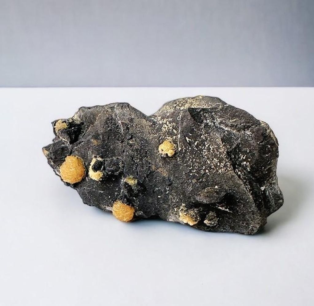 LINE_ALBUM_官網商品相簿_230724_72