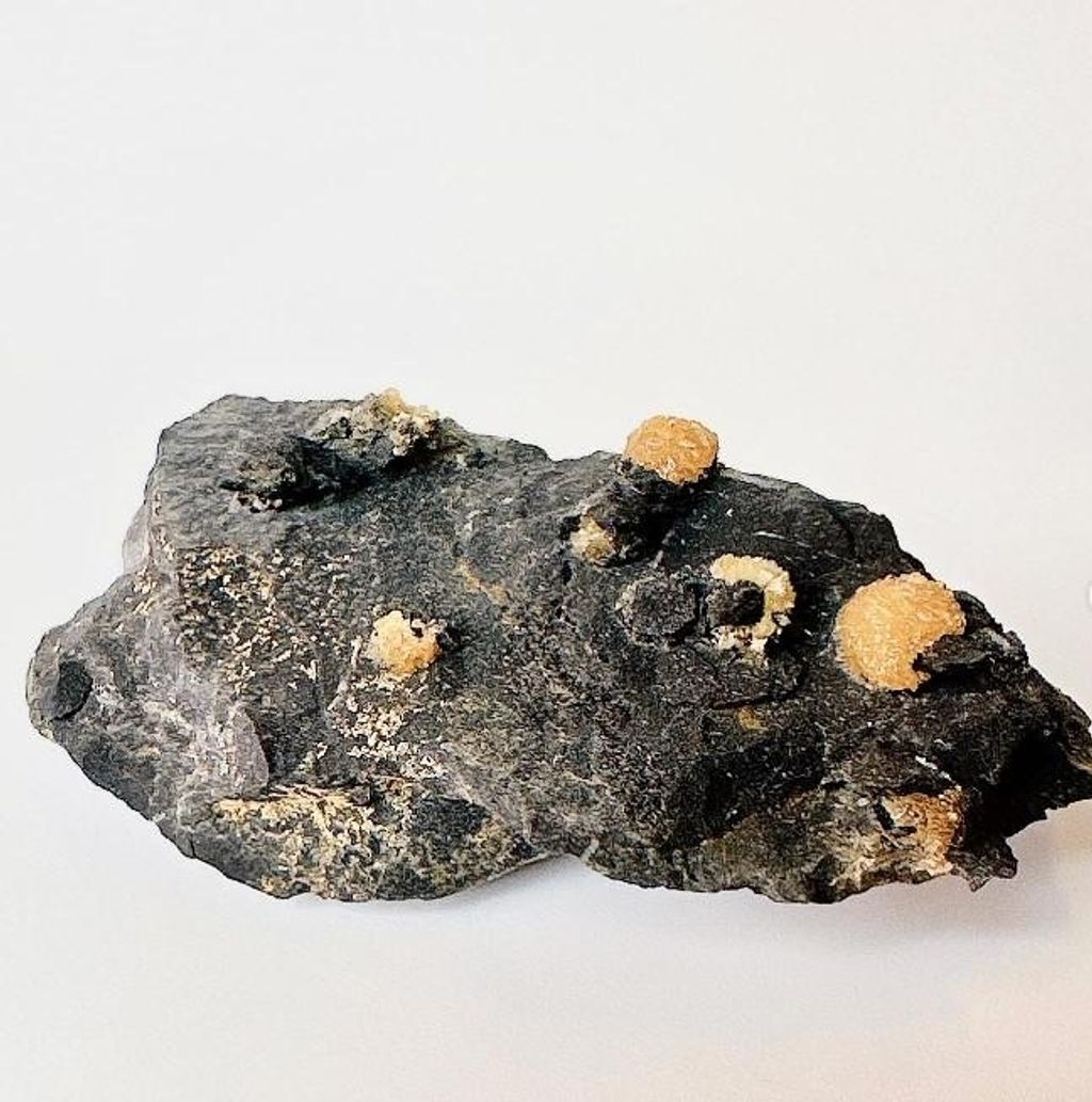 LINE_ALBUM_官網商品相簿_230724_74