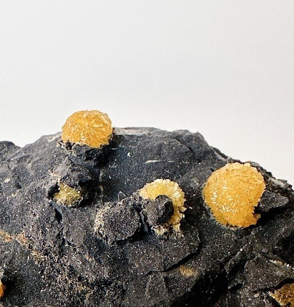 LINE_ALBUM_官網商品相簿_230724_73