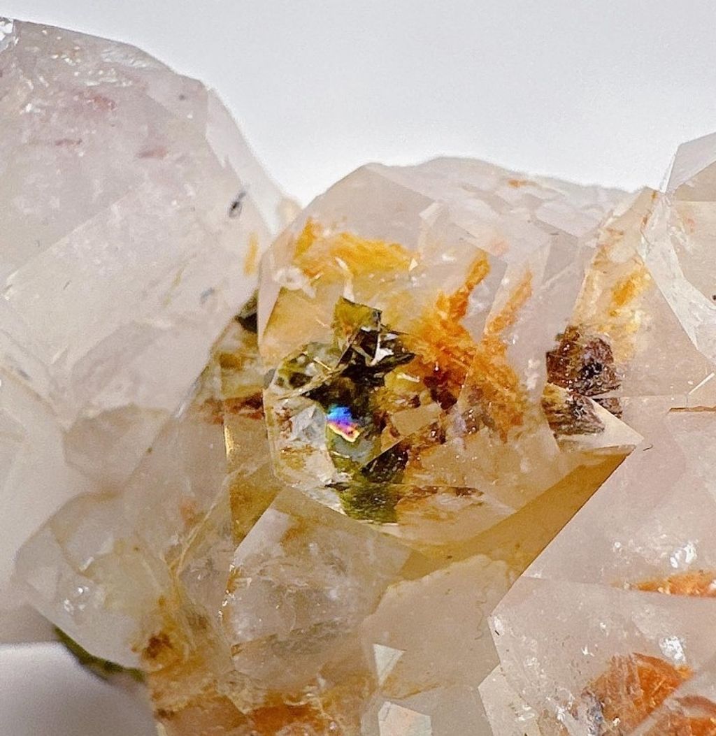 LINE_ALBUM_官網商品相簿7月第5周_230728_110