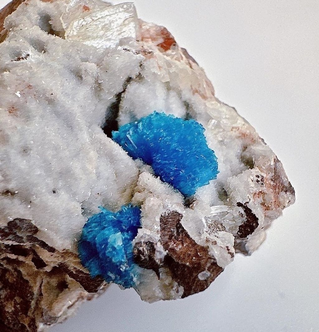 LINE_ALBUM_官網商品相簿7月第5周_230728_114