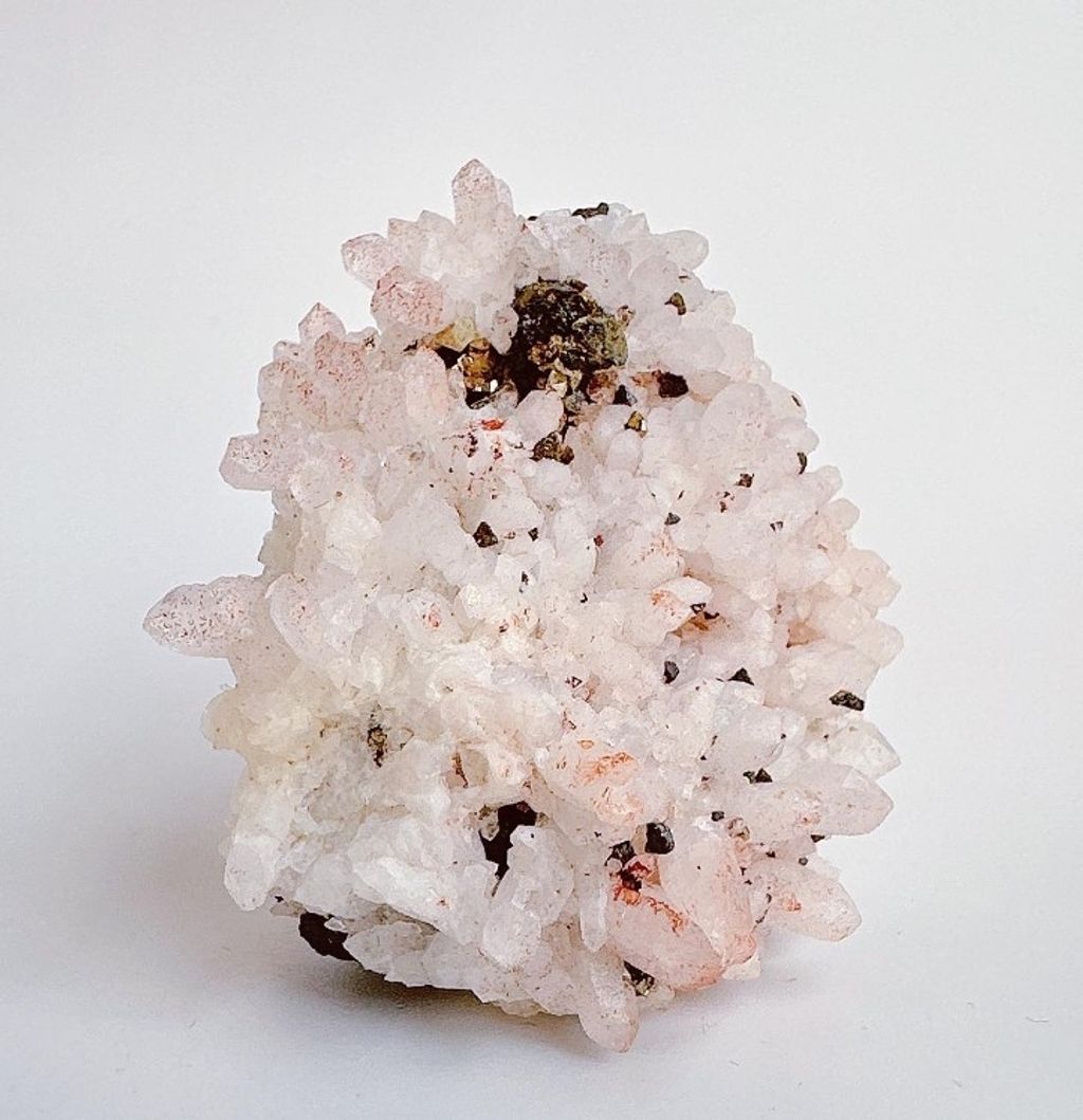 LINE_ALBUM_官網商品相簿八月第一周_230801_71