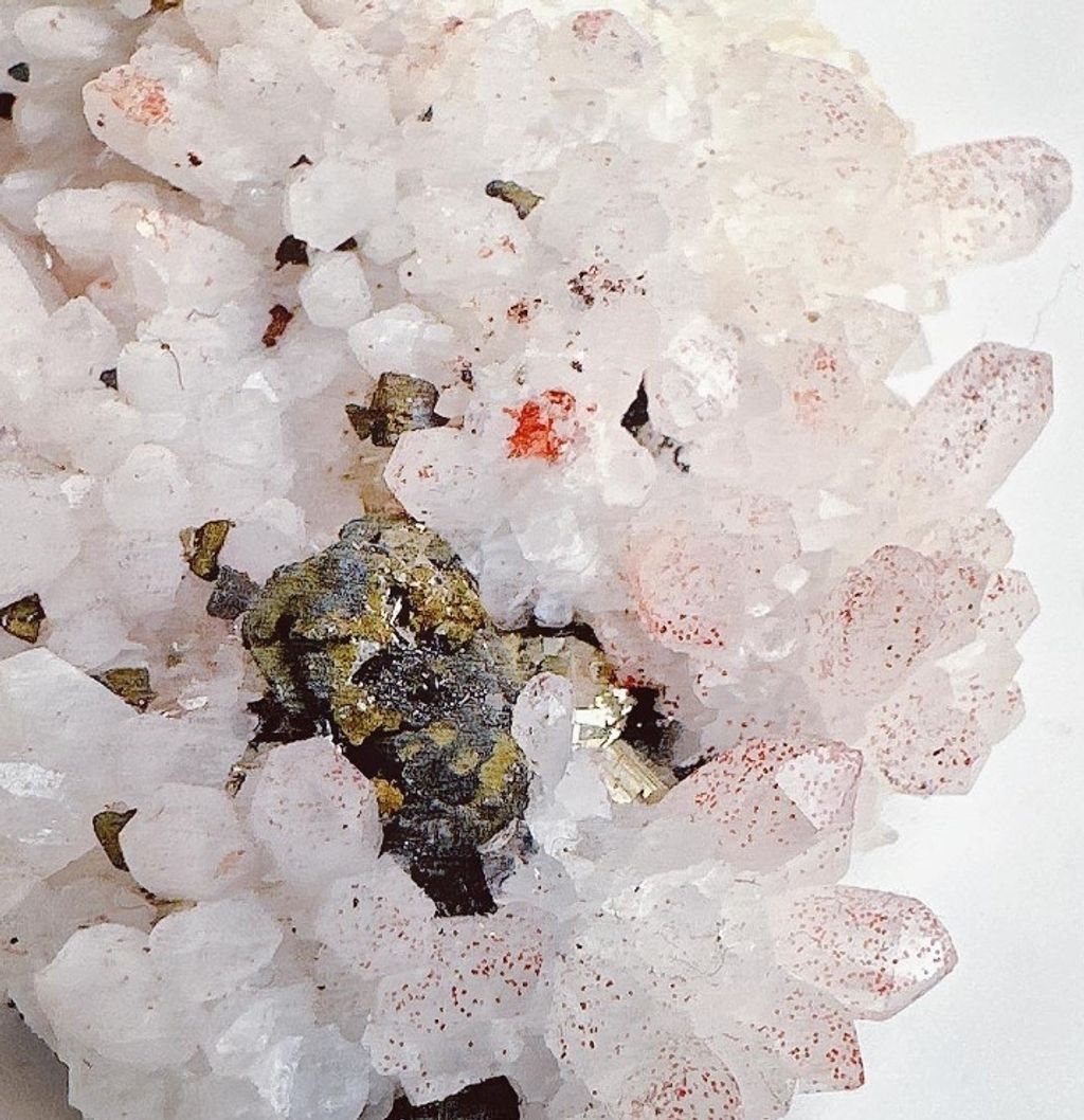 LINE_ALBUM_官網商品相簿八月第一周_230801_74