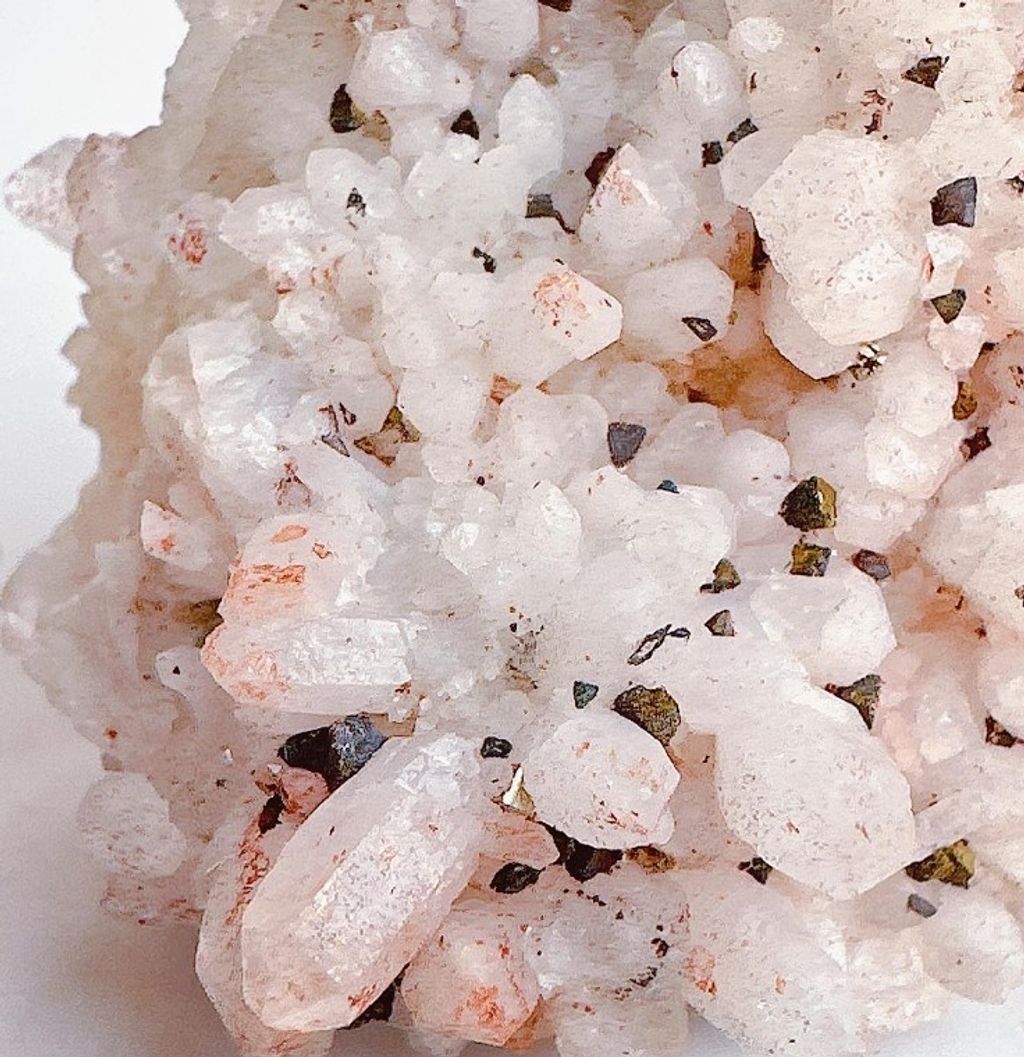 LINE_ALBUM_官網商品相簿八月第一周_230801_73