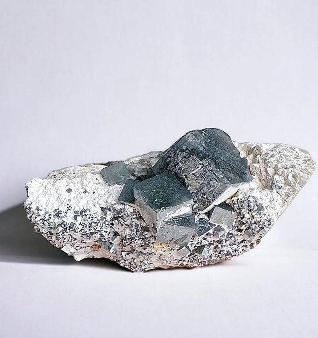 LINE_ALBUM_官網商品相簿八月第一周_230801_144