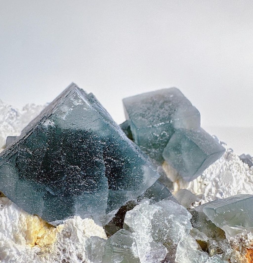 LINE_ALBUM_官網商品相簿八月第一周_230801_141