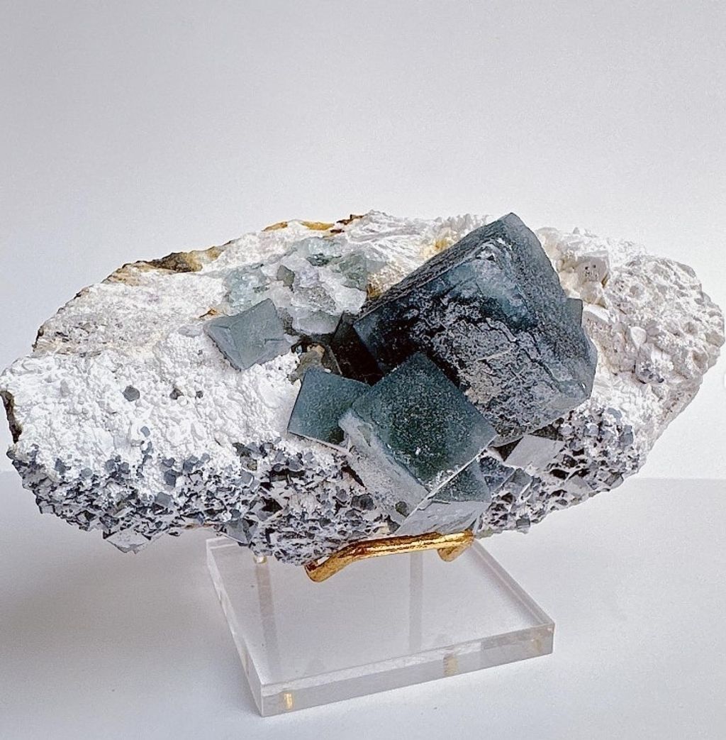 LINE_ALBUM_官網商品相簿八月第一周_230801_142