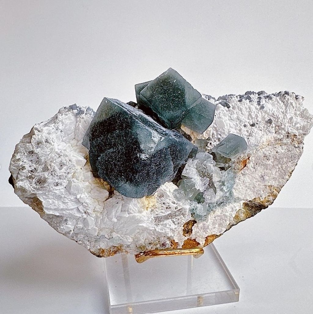 LINE_ALBUM_官網商品相簿八月第一周_230801_143