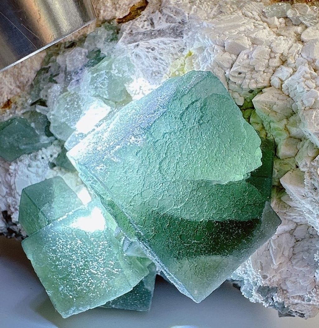 LINE_ALBUM_官網商品相簿八月第一周_230801_140