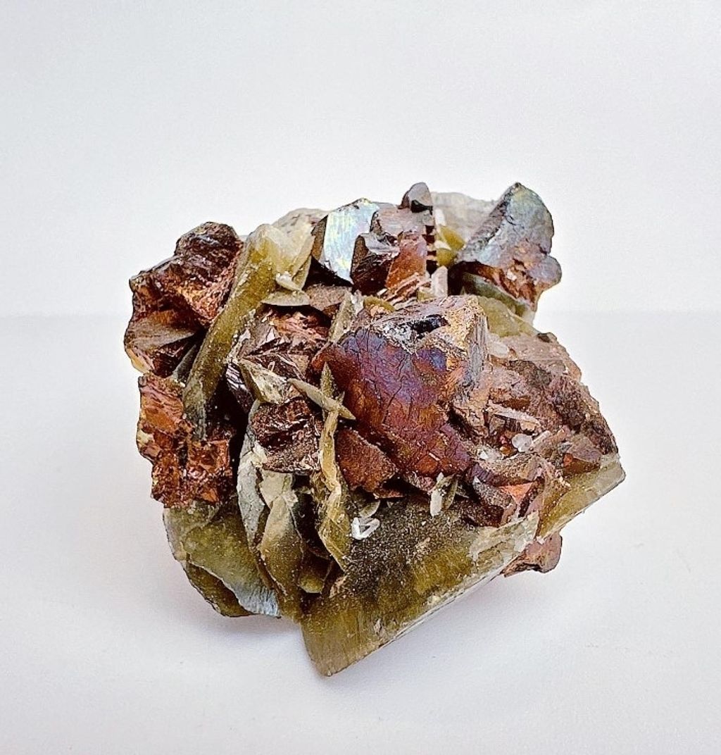 LINE_ALBUM_官網商品相簿八月第一周_230803_98