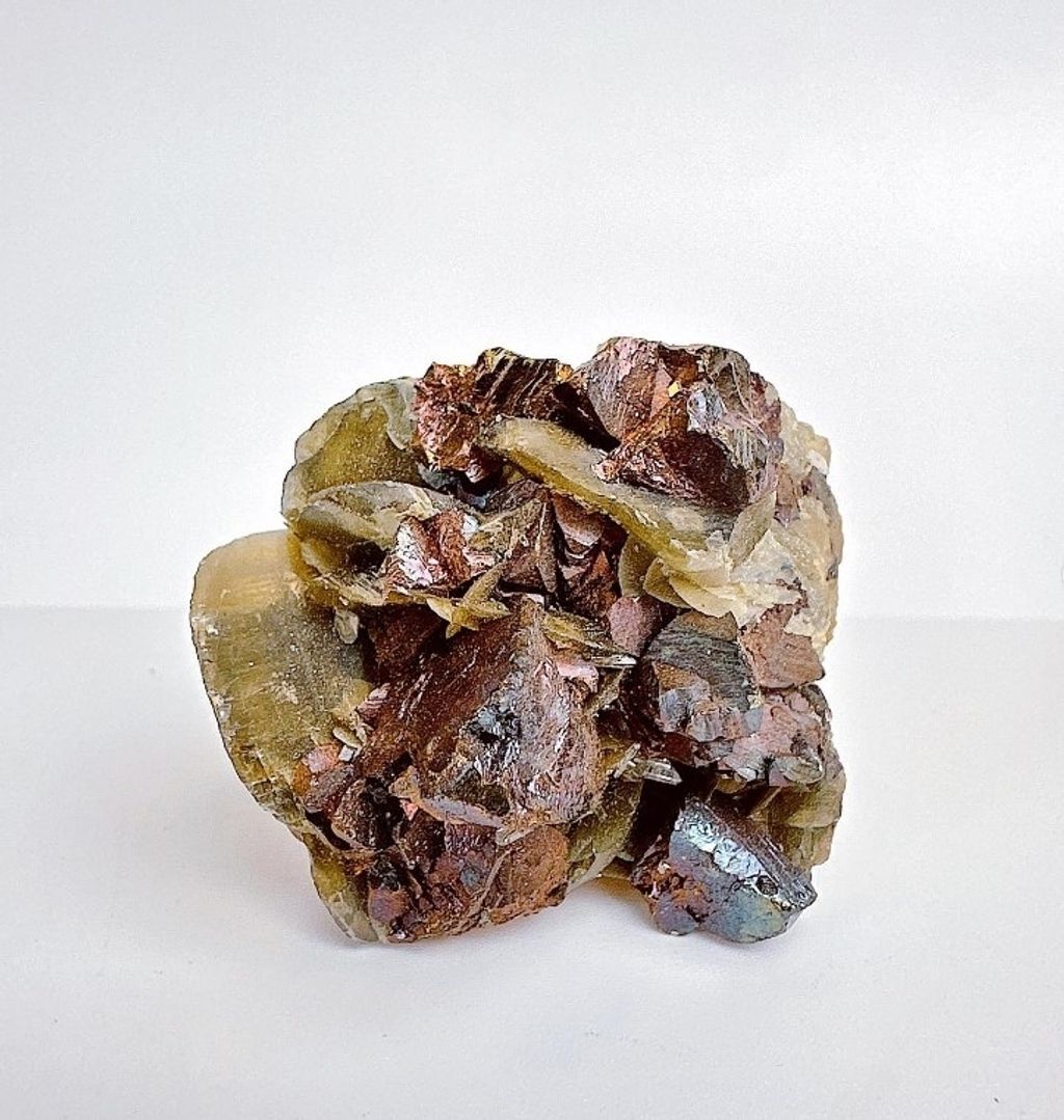 LINE_ALBUM_官網商品相簿八月第一周_230803_100