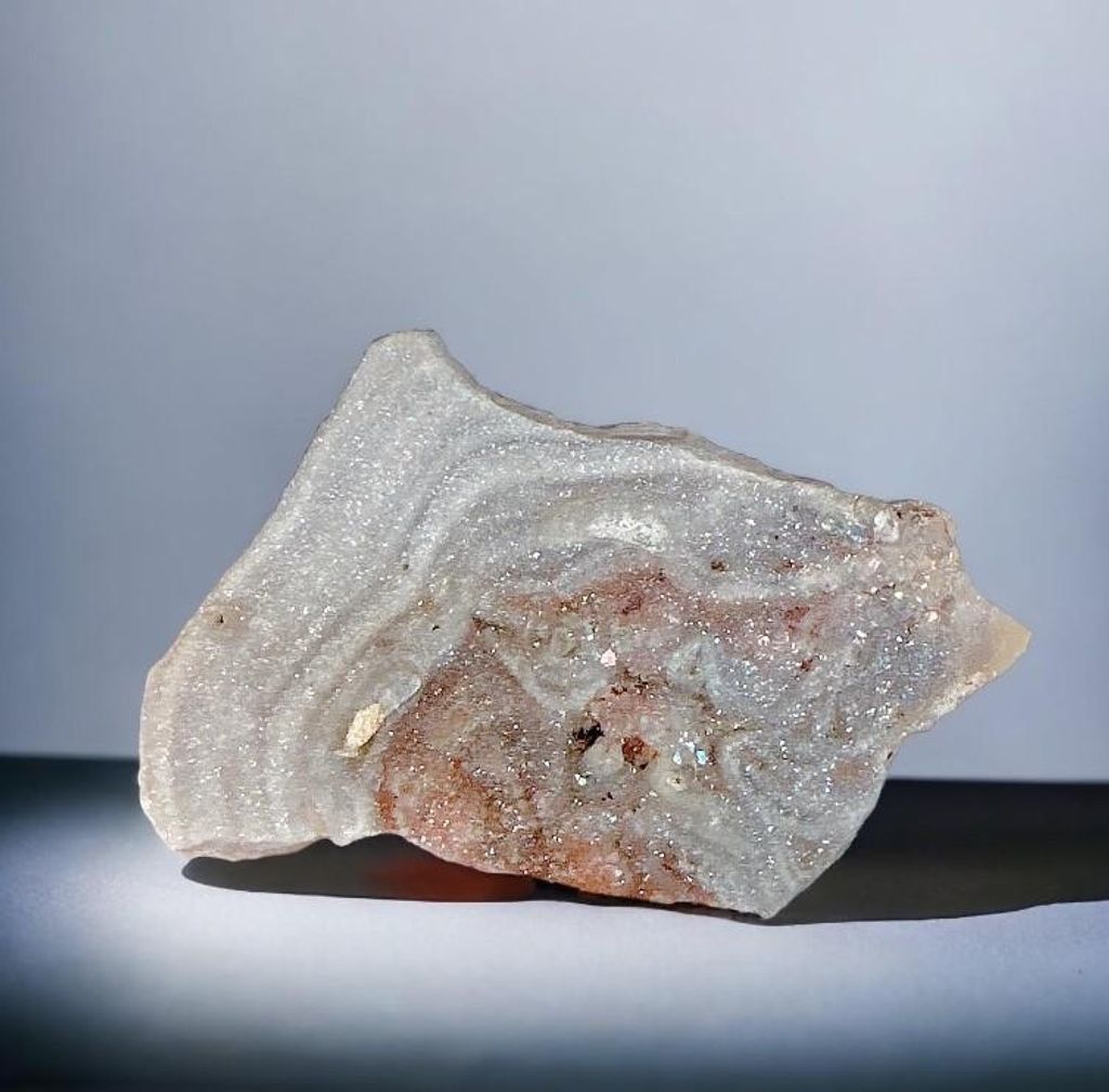 LINE_ALBUM_官網商品相簿八月第一周_230804_124