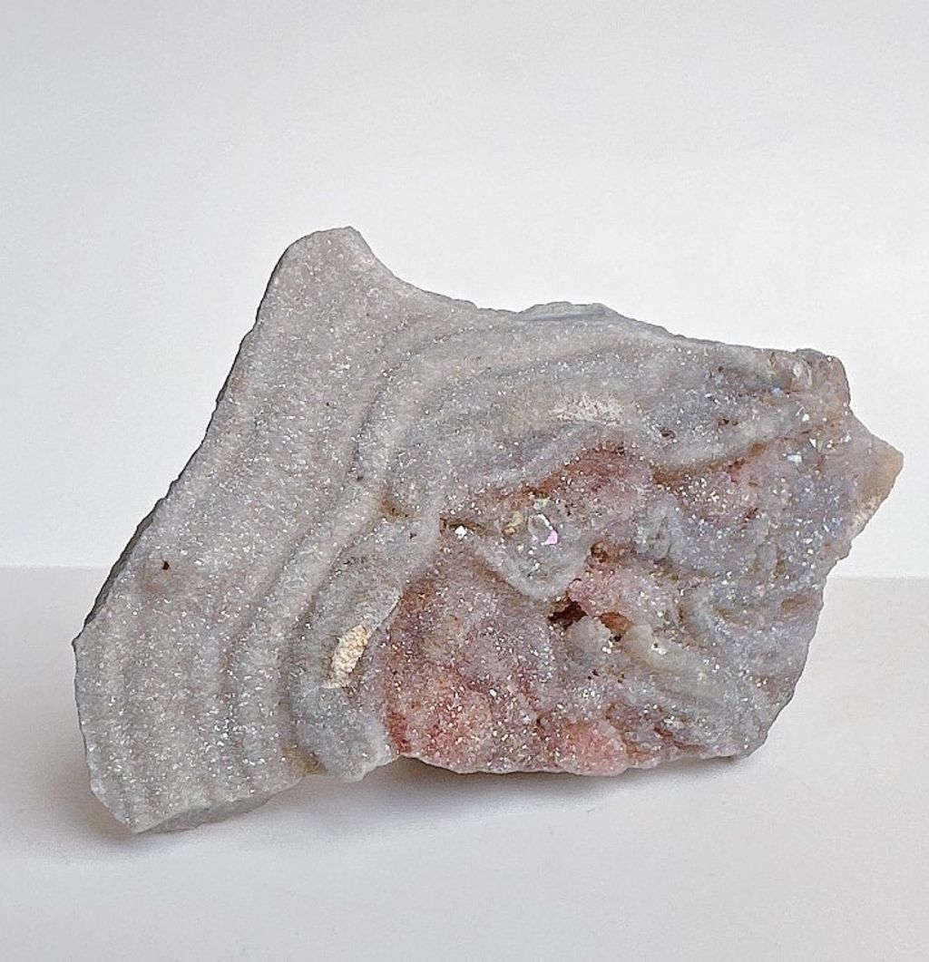 LINE_ALBUM_官網商品相簿八月第一周_230804_122