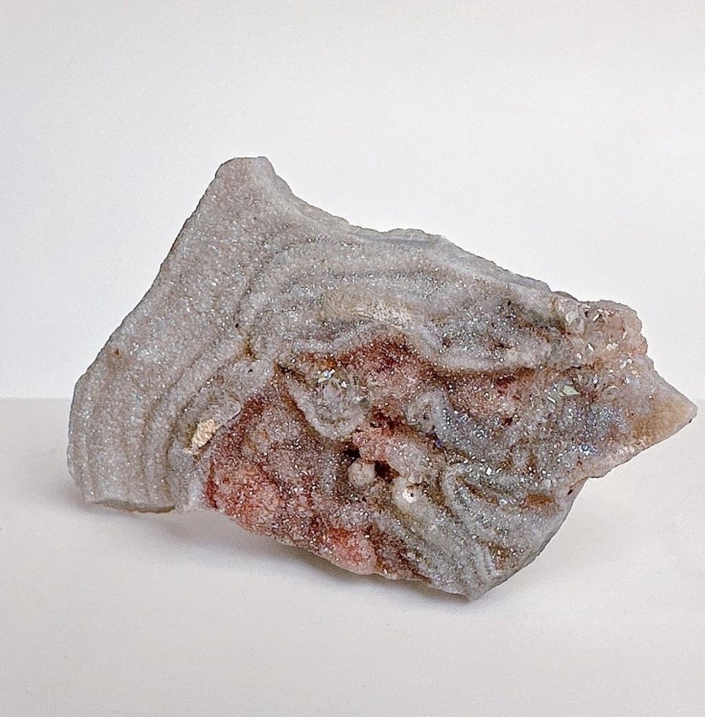 LINE_ALBUM_官網商品相簿八月第一周_230804_123