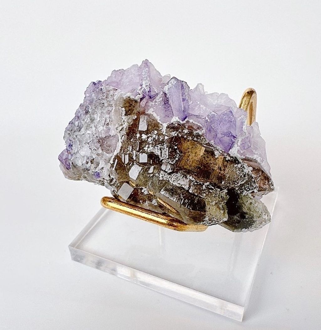 LINE_ALBUM_官網商品相簿八月第一周_230804_129