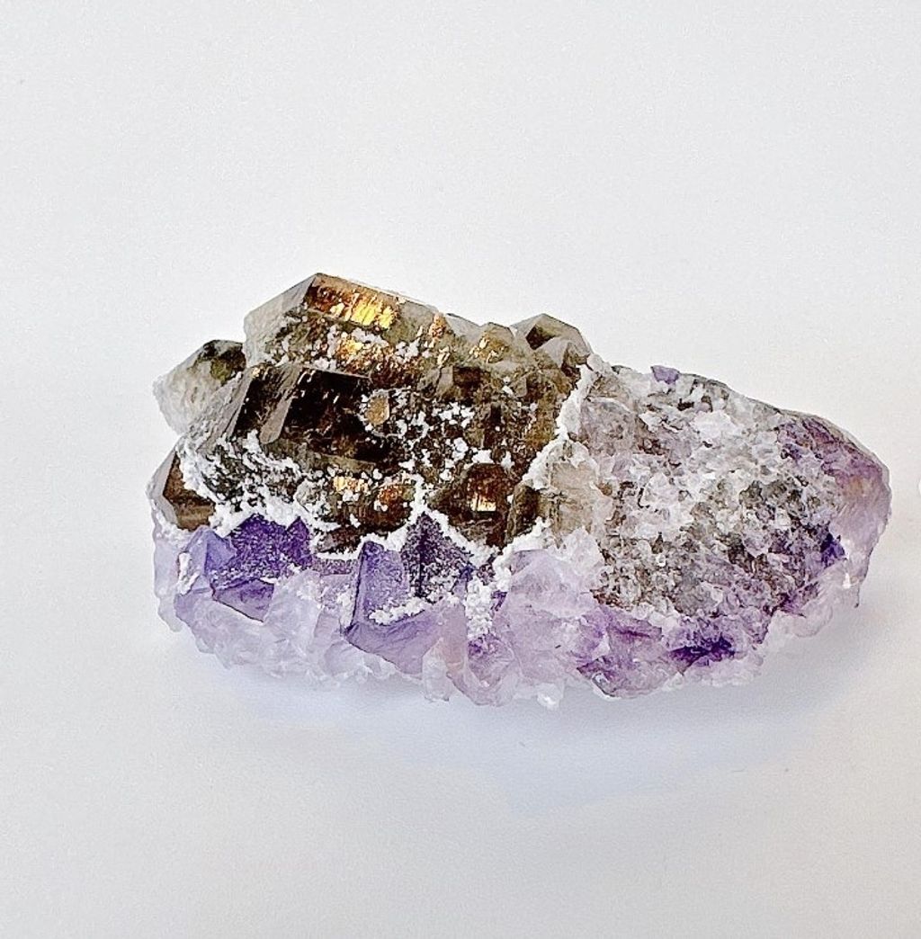 LINE_ALBUM_官網商品相簿八月第一周_230804_128