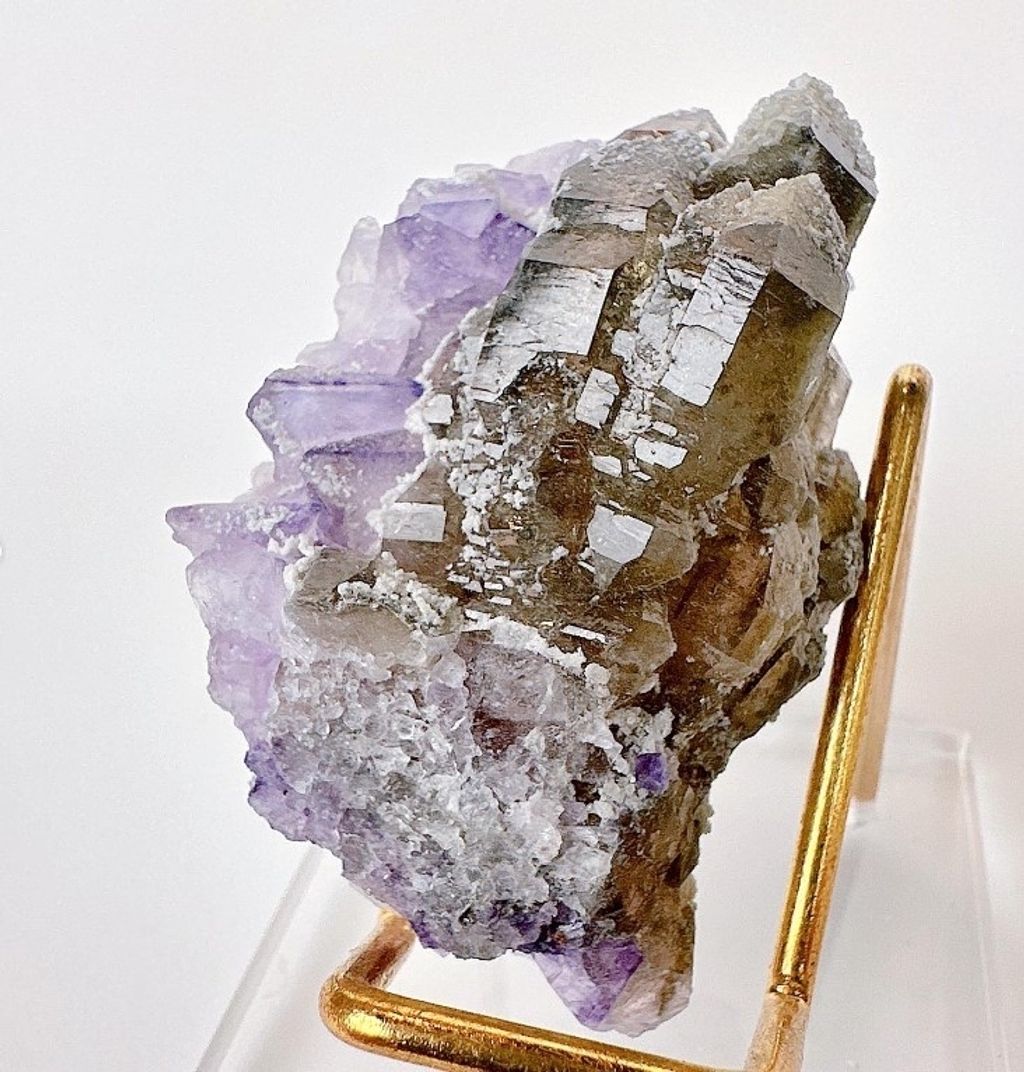 LINE_ALBUM_官網商品相簿八月第一周_230804_127