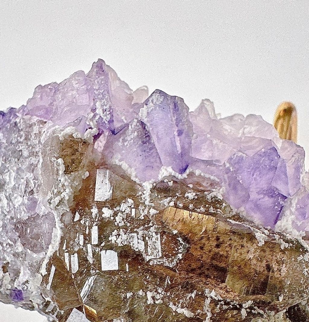 LINE_ALBUM_官網商品相簿八月第一周_230804_125