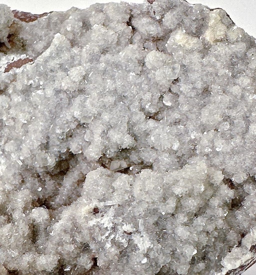 LINE_ALBUM_官網商品相簿八月第一周_230804_262