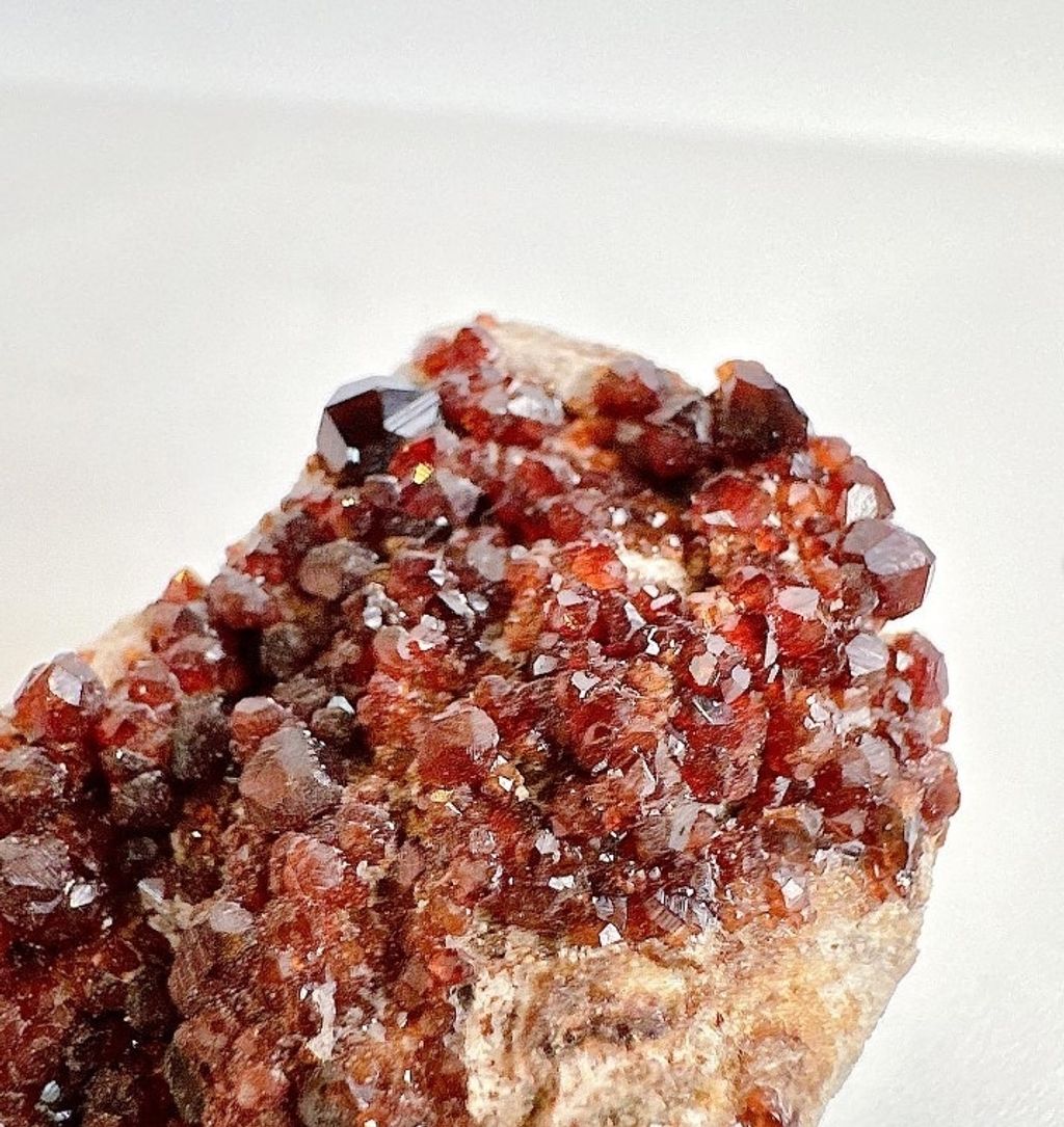 LINE_ALBUM_官網商品相簿八月第一周_230804_276