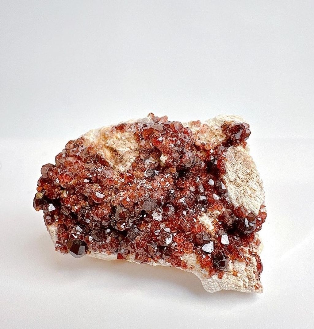 LINE_ALBUM_官網商品相簿八月第一周_230804_278